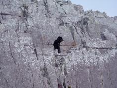 Rock climbing Bella, Pembrokeshire