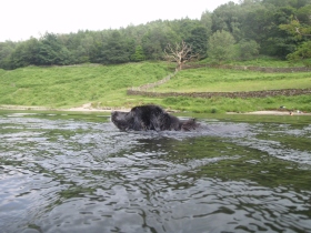 Swimming in Rydal